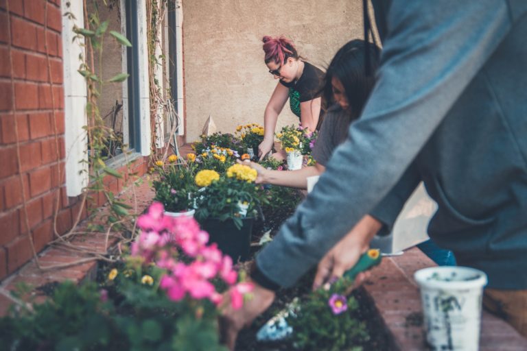 three people doing volunteer gardening work